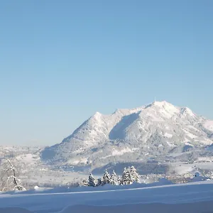Vogler Fischen im Allgäu